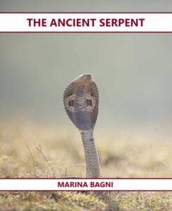 THE ANCIENT SERPENT